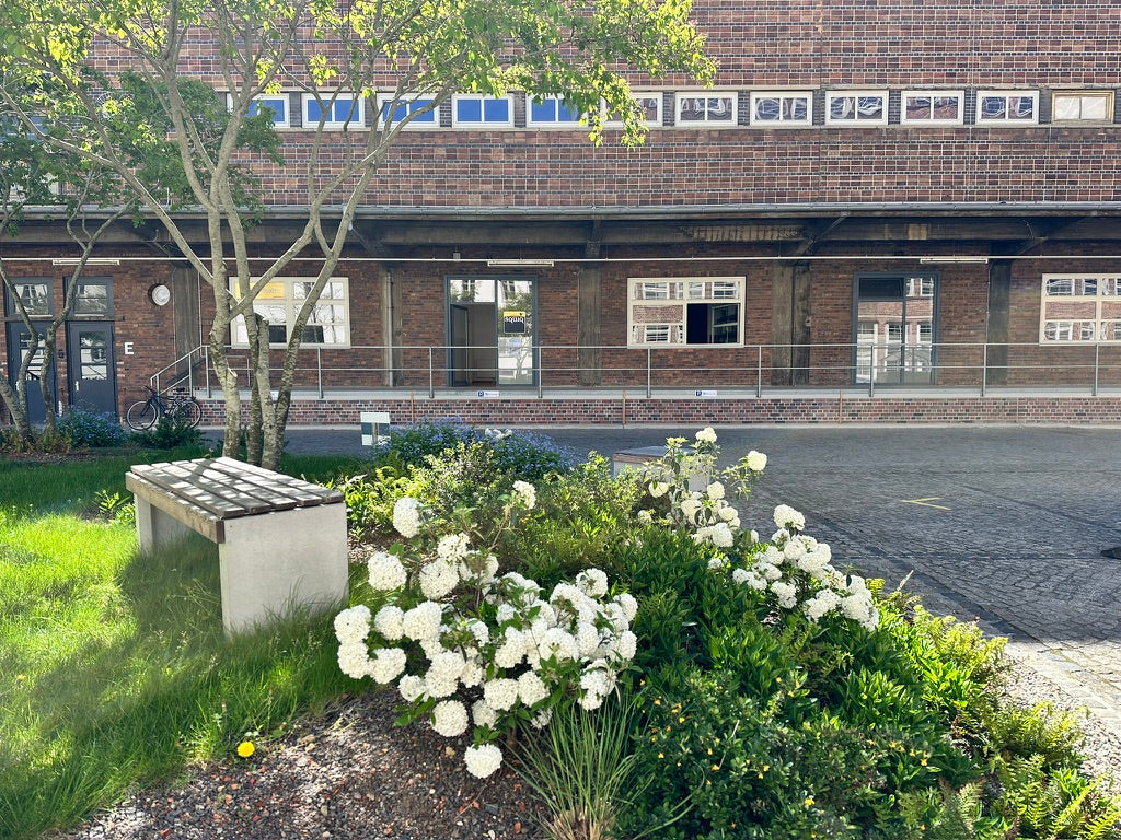 squiq Werkstatt Leipzig Kofferraumauszug für Autos in der Konsumzentrale