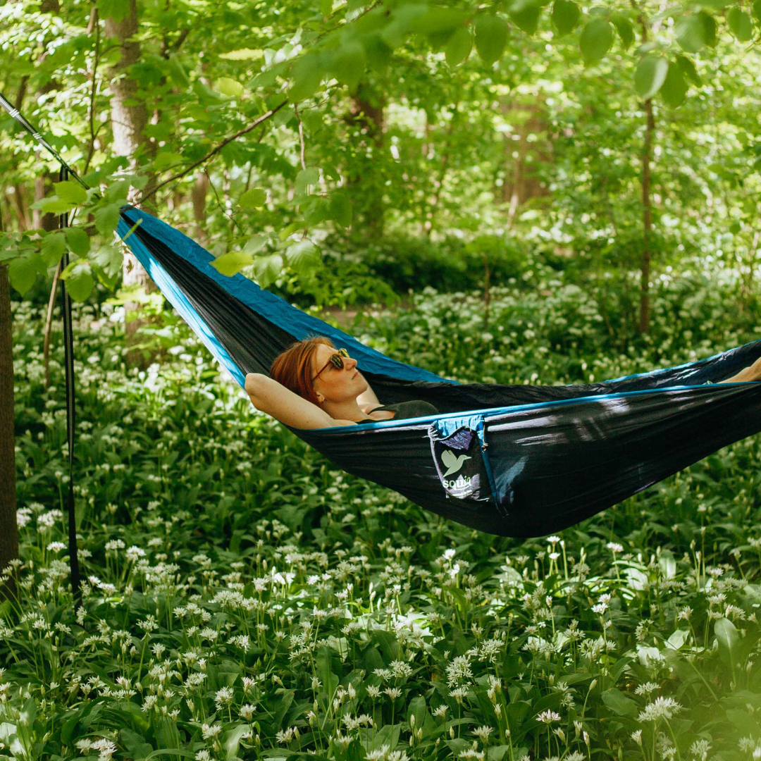 hängematte natur camping dachzelt wald